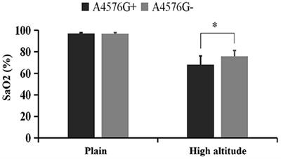 Mitochondrial DNA Variation Correlated With the High Altitude Intolerance in Chinese Young Han Males